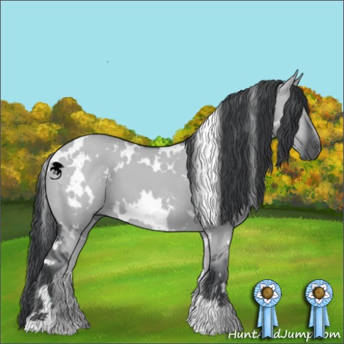 Horse Color:White Spotted Grullo Chinchilla