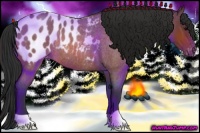 Horse Color:Bay Roan Blanket Rabicano 