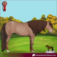 Horse Color:Classic Champagne 