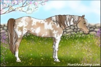 Horse Color:White Spotted Liver Chestnut Pearl 