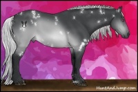 Horse Color:White Spotted Silver Brown Chinchilla 