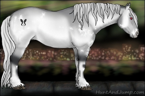 Horse Color:White Spotted Silver Brown Chinchilla Onyx