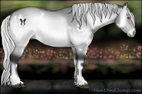 Horse Color:White Spotted Silver Brown Chinchilla Onyx 