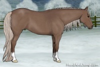 Horse Color:Silver Blue Roan 