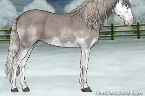 Horse Color:Silver Blue Roan Splash
