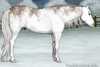 Horse Color:White Spotted Silver Black Sabino Splash 