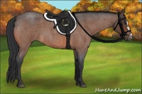 Horse Color:Bay Roan Splash Frame 