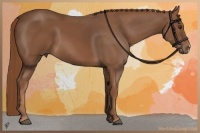 Horse Color:Chestnut Frame