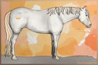 Horse Color:Perlino Roan Dun 