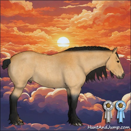 Horse Color:Gray Buckskin Roan Rabicano 