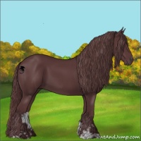 Horse Color:Chocolate Black Chinchilla Sabino 