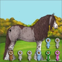 Horse Color:Chocolate Grullo Chinchilla Sabino Brindle