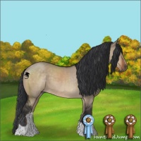 Horse Color:Brown Dun 