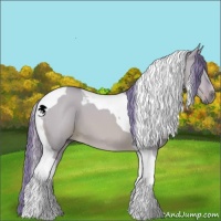 Horse Color:Watercolor Red Dun Tobiano 