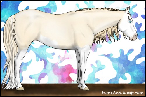 Horse Color:Buckskin Pearl Dun Splash 