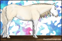 Horse Color:Buckskin Pearl Dun Splash 