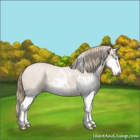 Horse Color:Smoky Creme Dun Sabino 