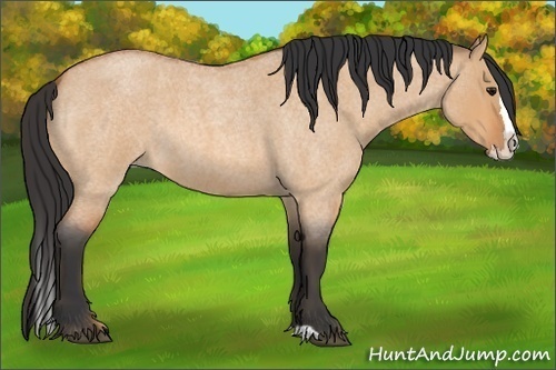 Horse Color:Bay Roan Dun Splash 