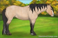 Horse Color:Bay Roan Dun Splash