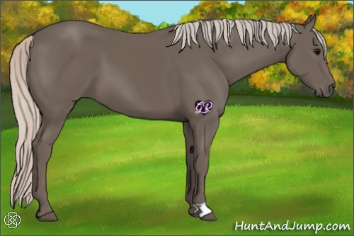 Horse Color:Silver Black 