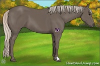 Horse Color:Silver Black 