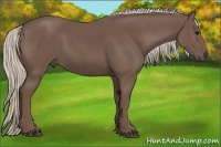 Horse Color:Silver Black 