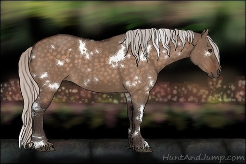 Horse Color:White Spotted Silver Brown Dun 