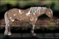 Horse Color:White Spotted Silver Brown Dun 