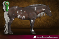 Horse Color:White Spotted Silver Brown