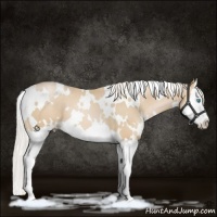 Horse Color:White Spotted Palomino Pearl Splash