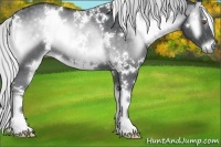 Horse Color:White Spotted Silver Blue Onyx Chinchilla 
