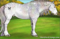 Horse Color:Nacre Silver Black Chinchilla Ice Sabino
