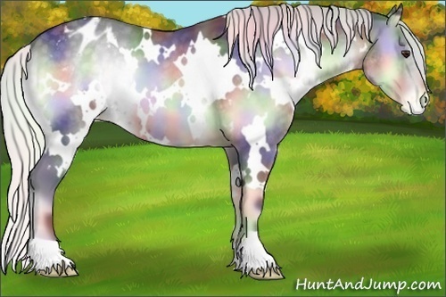 Horse Color:Nacre White Spotted Silver Blue Onyx Chinchilla Appaloosa 