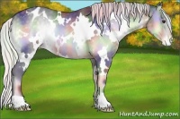 Horse Color:Nacre White Spotted Silver Blue Onyx Chinchilla Appaloosa