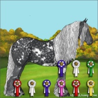 Horse Color:White Spotted Silver Black Chinchilla 