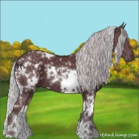 Horse Color:White Spotted Chocolate Silver Black Chinchilla 