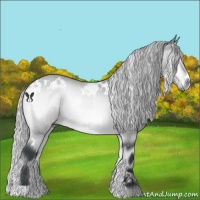 Horse Color:White Spotted Silver Bay Chinchilla Onyx 