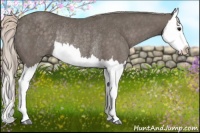 Horse Color:Silver Black Splash Rabicano