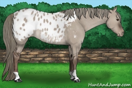 Horse Color:Liver Red Dun Mushroom Blanket