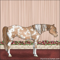 Horse Color:White Spotted Liver Chestnut Pearl 