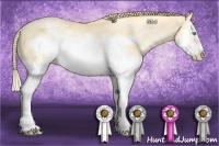 Horse Color:Buckskin Pearl Splash Frame