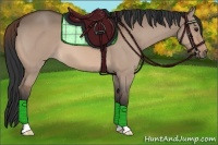 Horse Color:Brown Dun