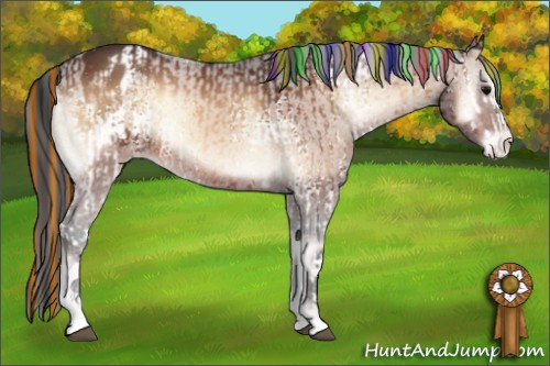Horse Color:Painted White Spotted Bay Onyx  and Painted Bay Onyx Appaloosa Rabicano 