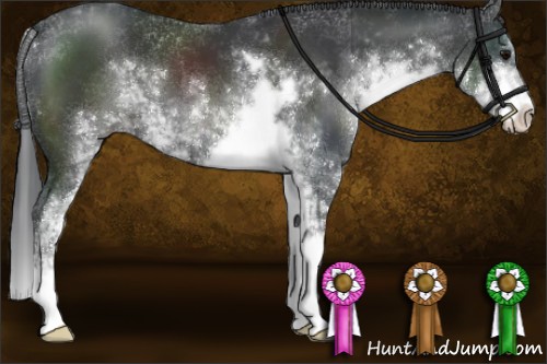 Horse Color:Black Sabino 