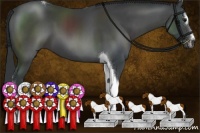 Horse Color:Black Sabino Tobiano 