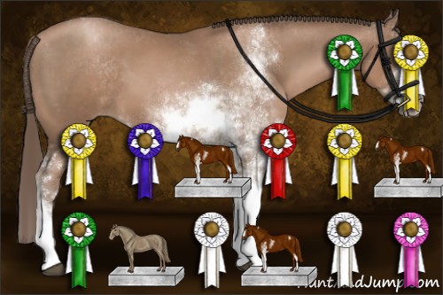 Horse Color:Black Pearl Sabino