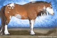 Horse Color:Buckskin Sabino Varnish 