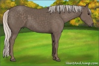 Horse Color:Silver Black 