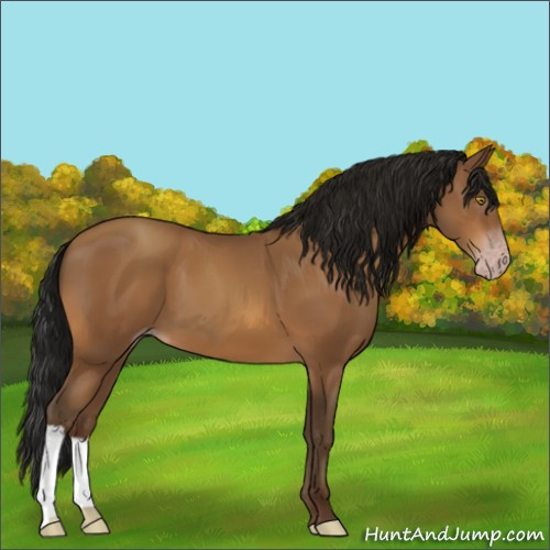 Horse Color:Gray Amber Champagne 