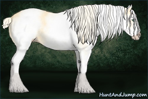 Horse Color:White Spotted Gold Cream Champagne Dun 